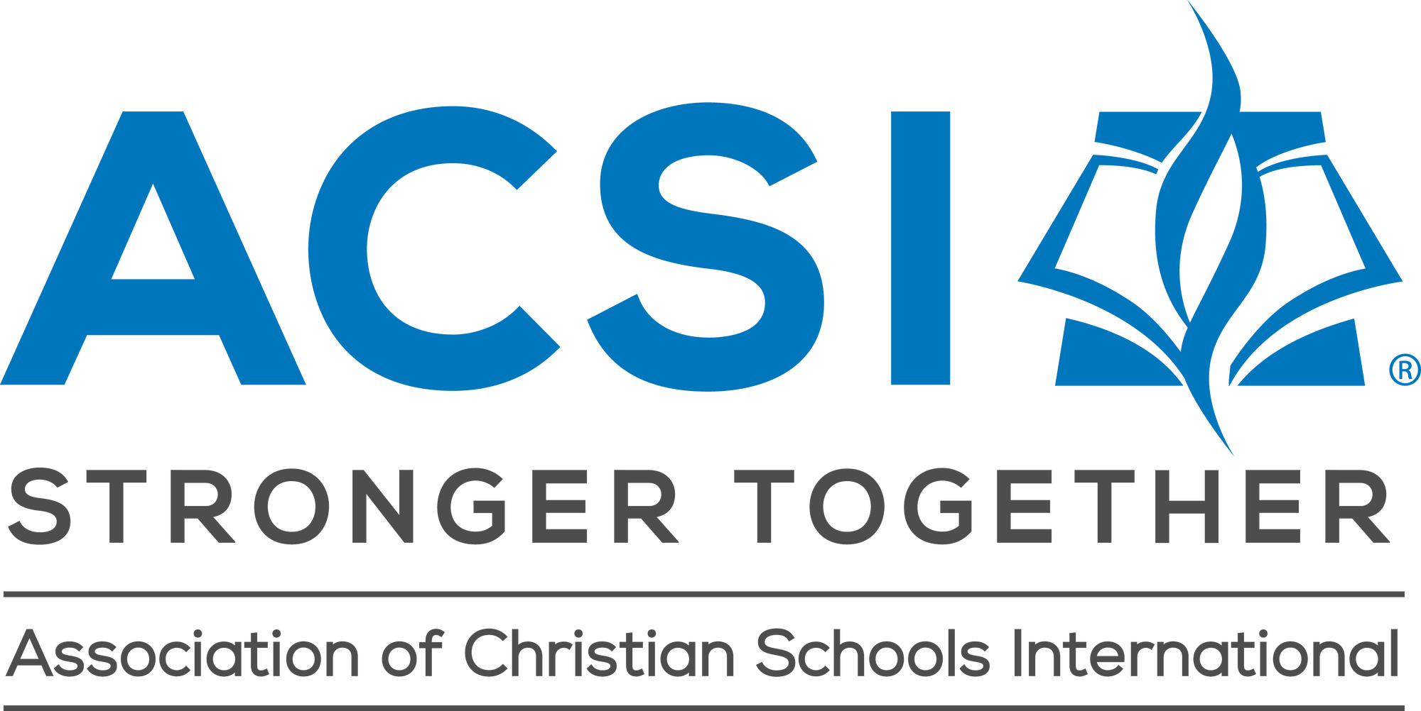ACSI 2025-1